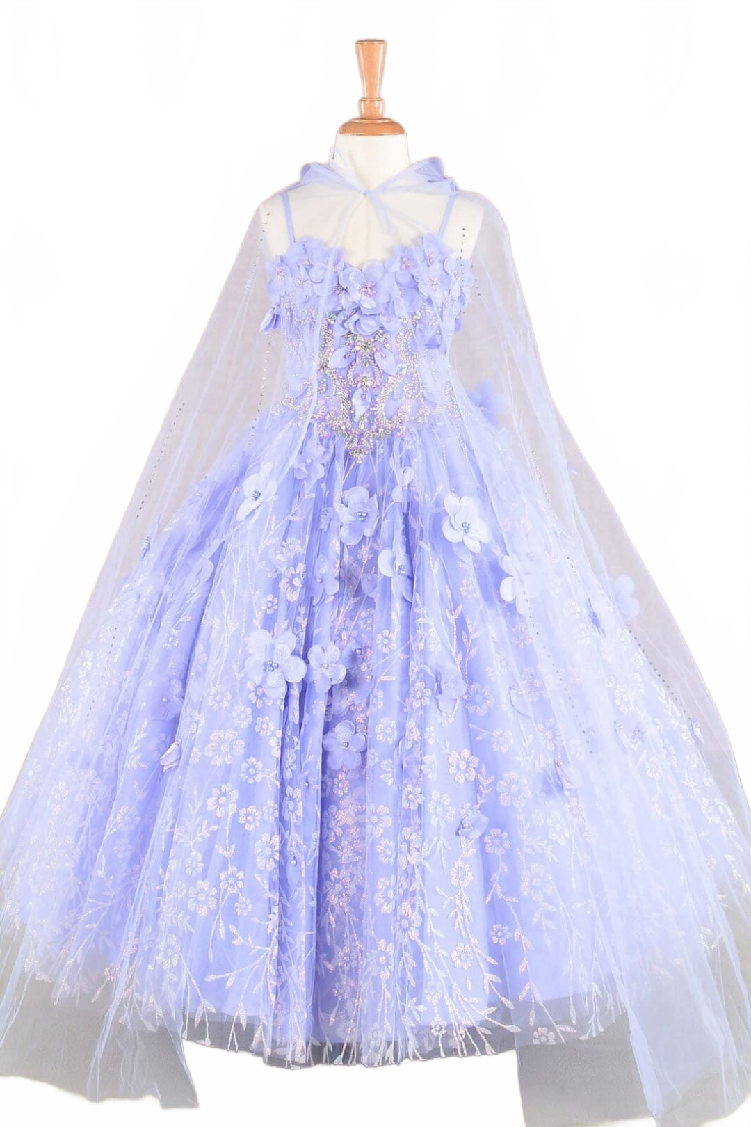 Background removed image