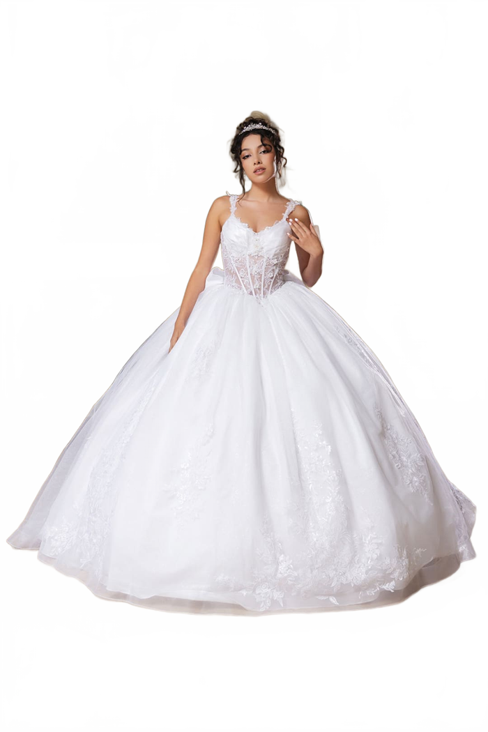 Vestidos De Quinceañera - Vestidos De 15 Años Gown By Layla K LK269