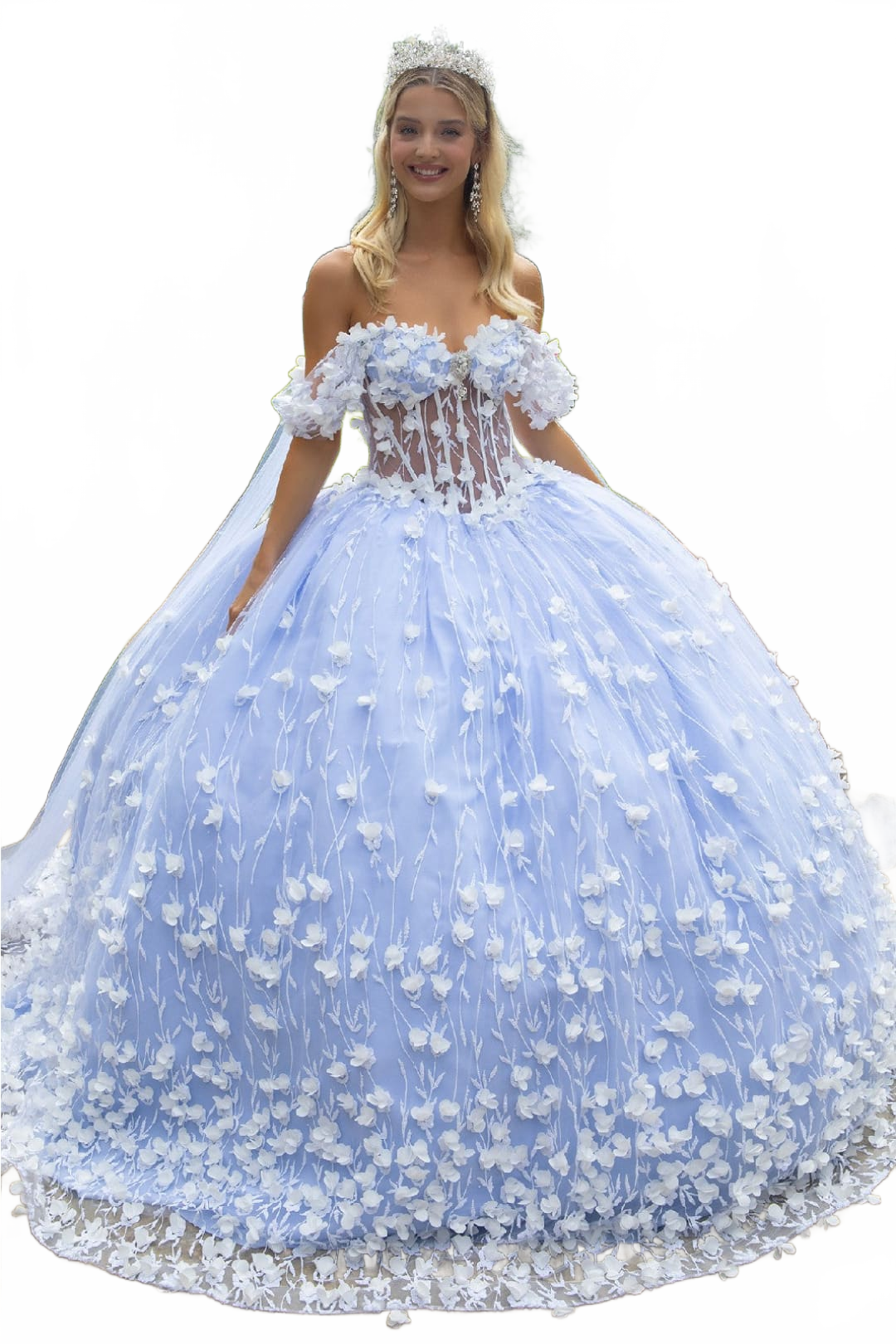 Background removed image