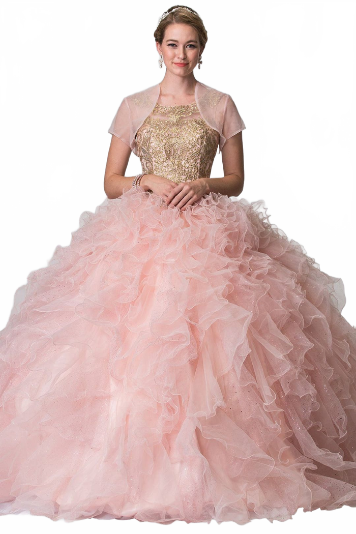 Embroidered Ruffled Ballgown by Elizabeth KGL2208