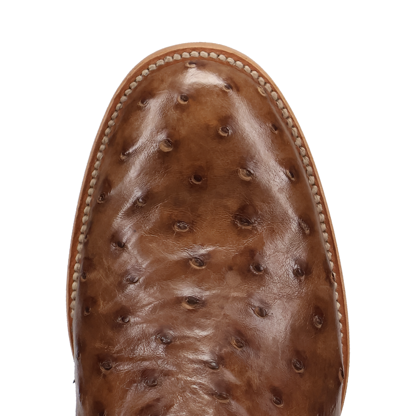 ARDOR FULL QUILL OSTRICH BOOT