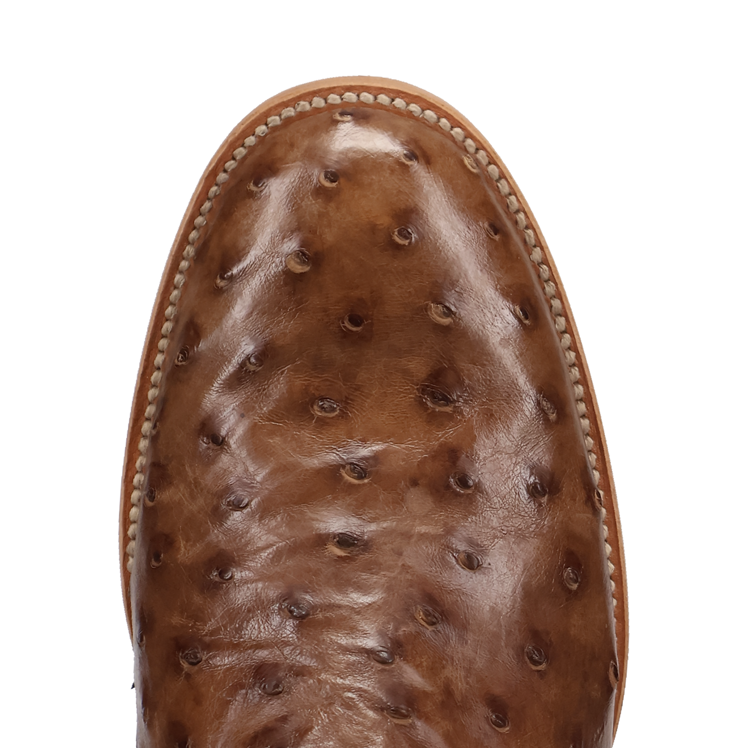 ARDOR FULL QUILL OSTRICH BOOT