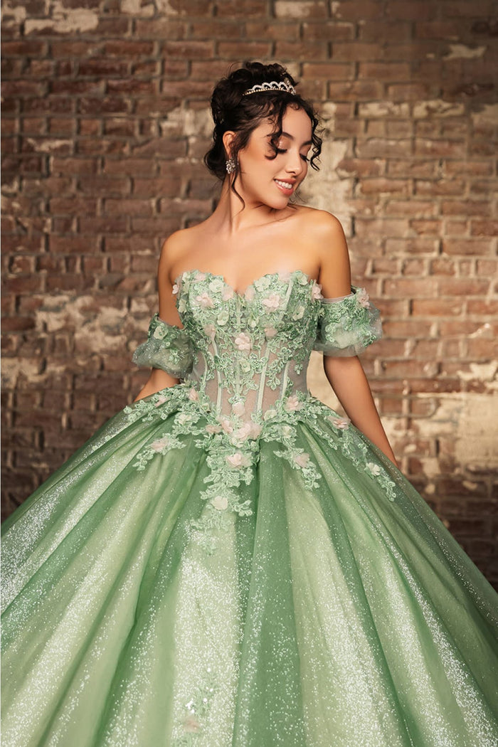 Quinceanera Dress Prom Ball Gown Floral Fitted Corset Glitter by LK245