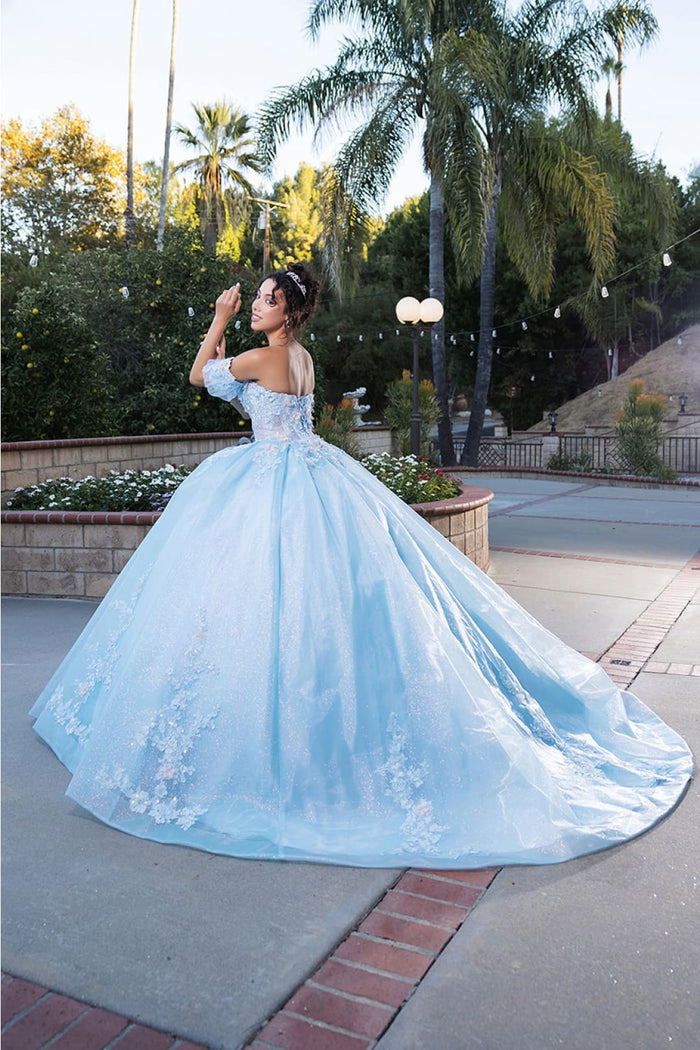 Quinceanera Dress Prom Ball Gown Floral Fitted Corset Glitter by LK245