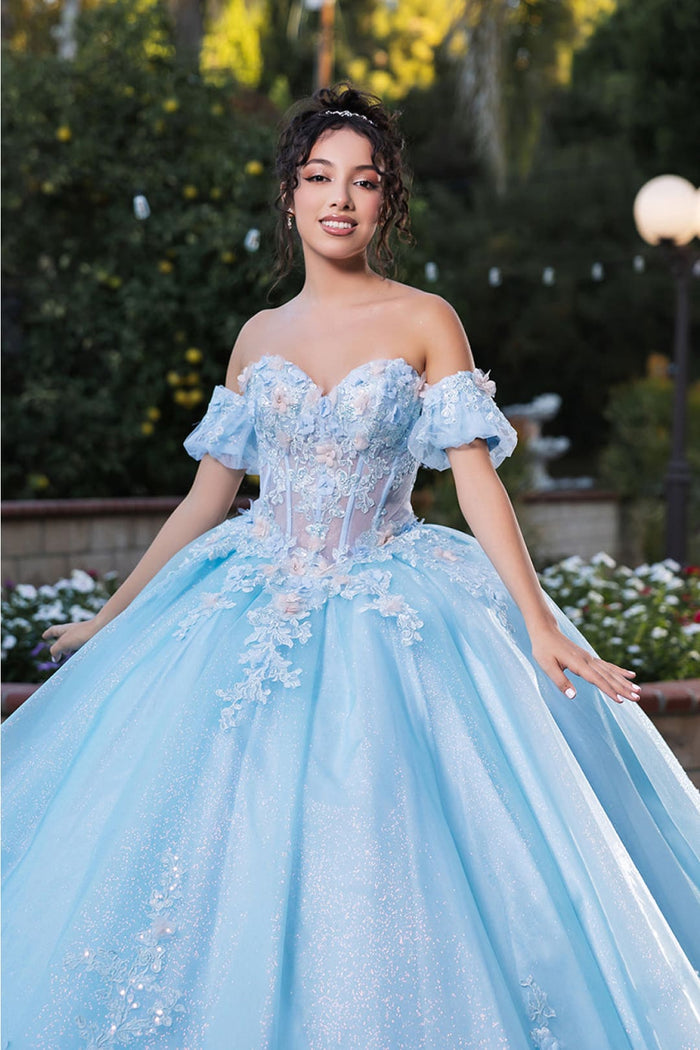 Quinceanera Dress Prom Ball Gown Floral Fitted Corset Glitter by LK245