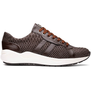 Marco Di Milano Verona Brown Leather Oxford