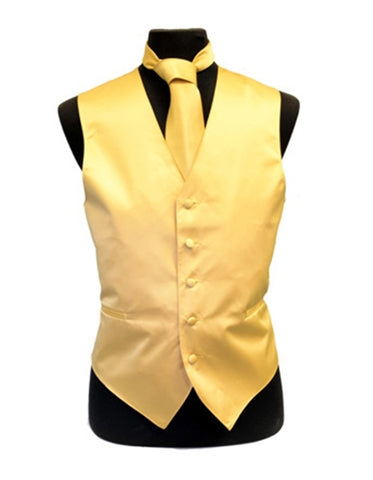 Solid Gold Vest Set
